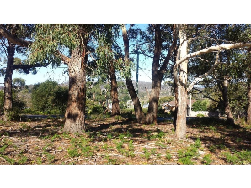 10 Falcon Street, Primrose Sands TAS 7173