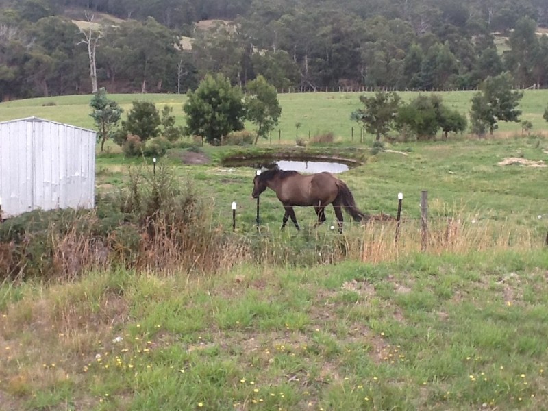 1480 Nubeena Road, Nubeena TAS 7184