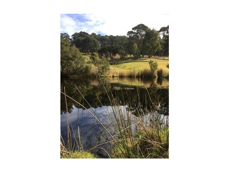 800 Nubeena Back Road, Koonya TAS 7187