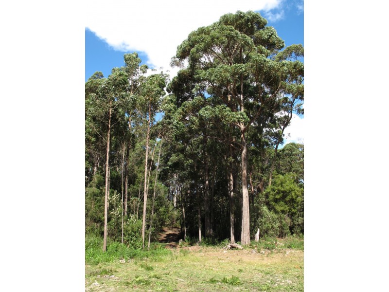 6 Lyndal Drive, Eaglehawk Neck TAS 7179