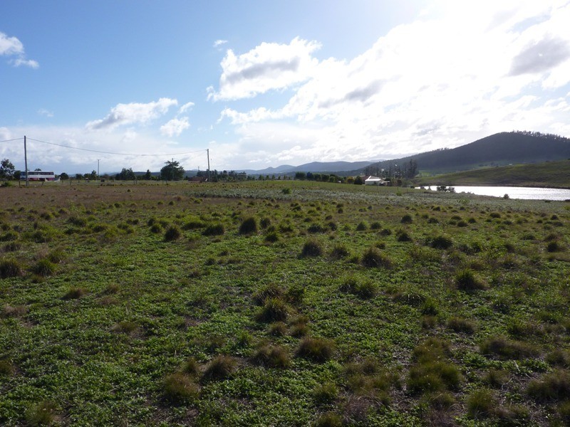 11 Blackwood Drive, Forcett TAS 7173