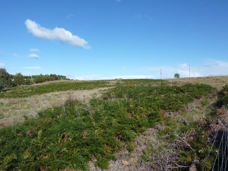 11 Blackwood Drive, Forcett TAS 7173