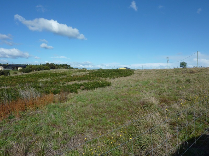 11 Blackwood Drive, Forcett TAS 7173