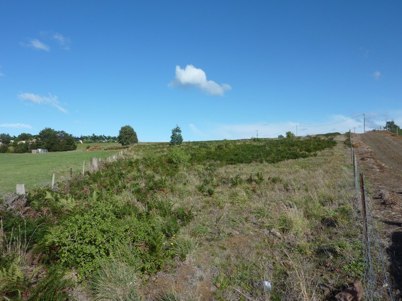 11 Blackwood Drive, Forcett TAS 7173