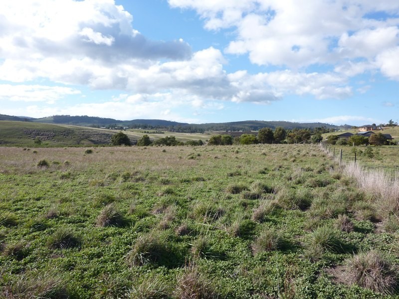 11 Blackwood Drive, Forcett TAS 7173