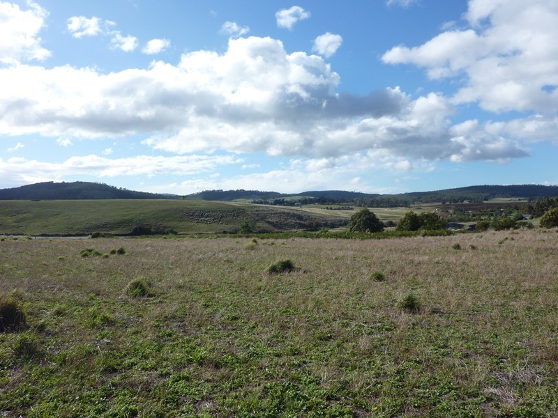 11 Blackwood Drive, Forcett TAS 7173