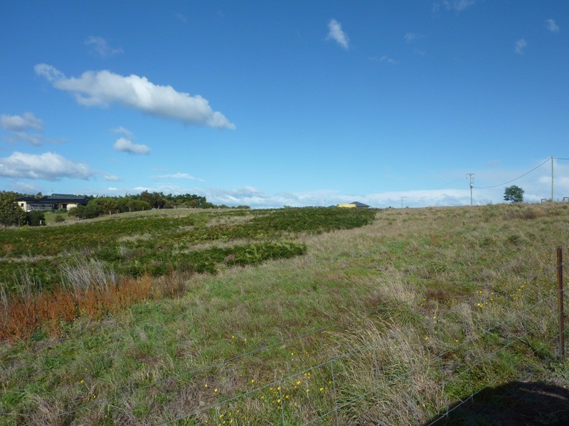 11 Blackwood Drive, Forcett TAS 7173