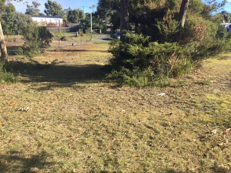 16 Olive Place, White Beach TAS 7184