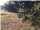 16 Olive Place, White Beach TAS 7184