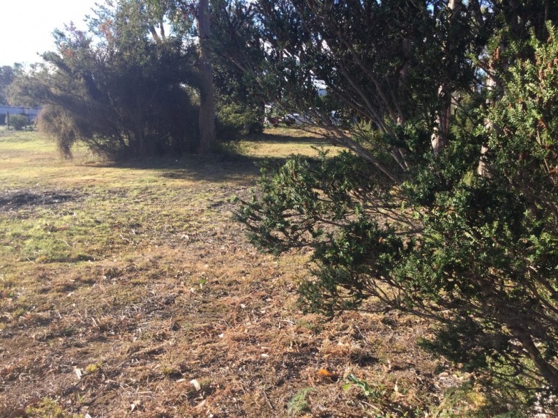 16 Olive Place, White Beach TAS 7184