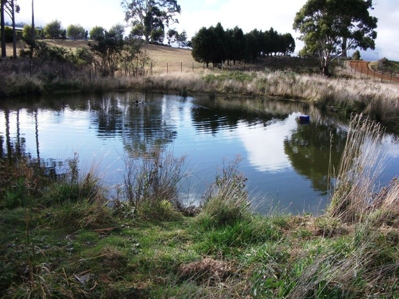 1416 Woodsdale Road, Levendale TAS 7120