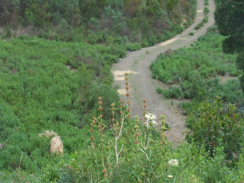 954 Roaring Beach Road, Nubeena TAS 7184