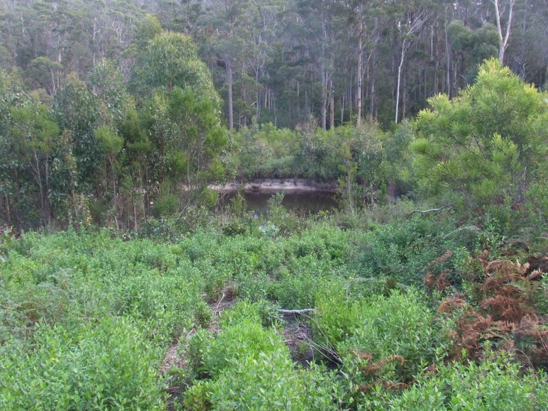 954 Roaring Beach Road, Nubeena TAS 7184