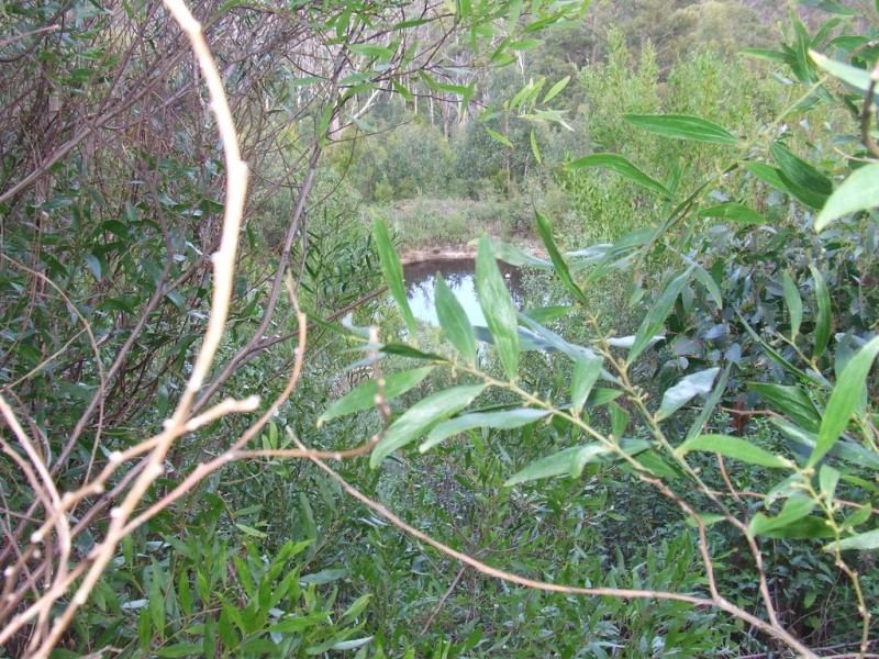 954 Roaring Beach Road, Nubeena TAS 7184