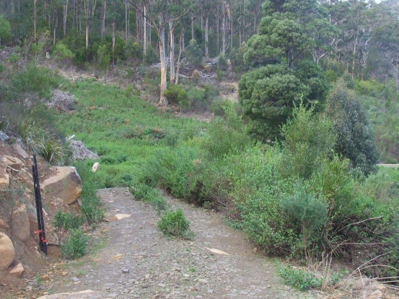 954 Roaring Beach Road, Nubeena TAS 7184