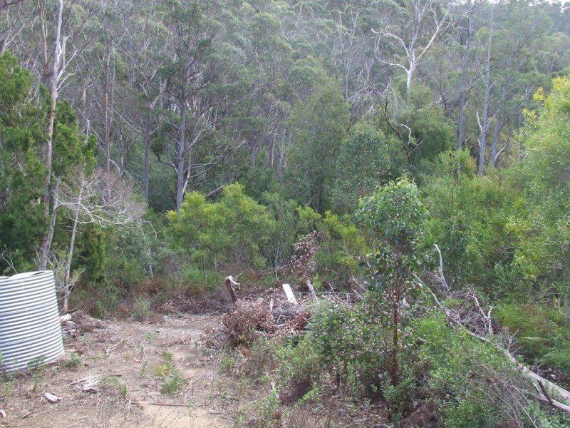 954 Roaring Beach Road, Nubeena TAS 7184