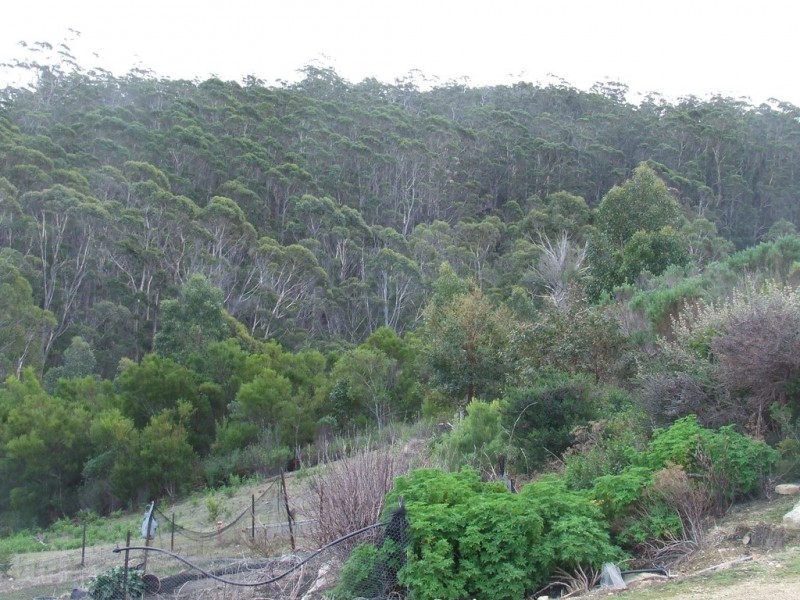 954 Roaring Beach Road, Nubeena TAS 7184