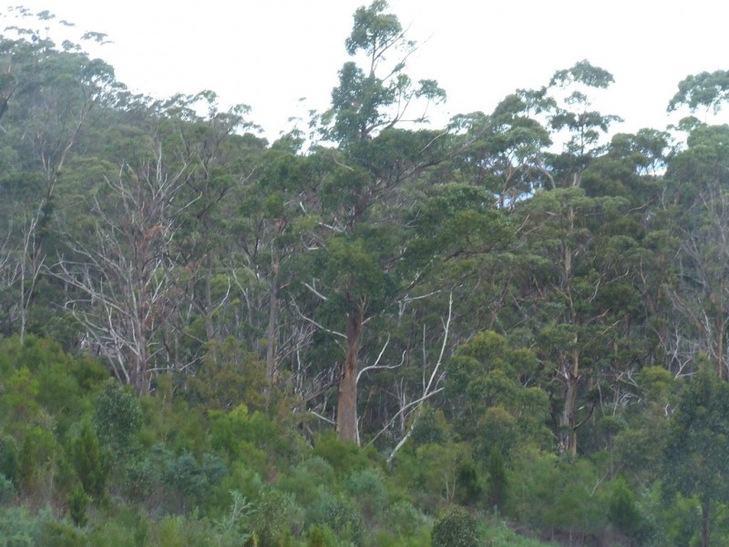 954 Roaring Beach Road, Nubeena TAS 7184