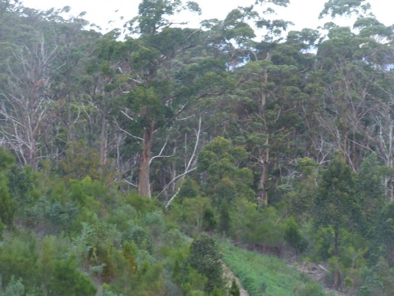 954 Roaring Beach Road, Nubeena TAS 7184