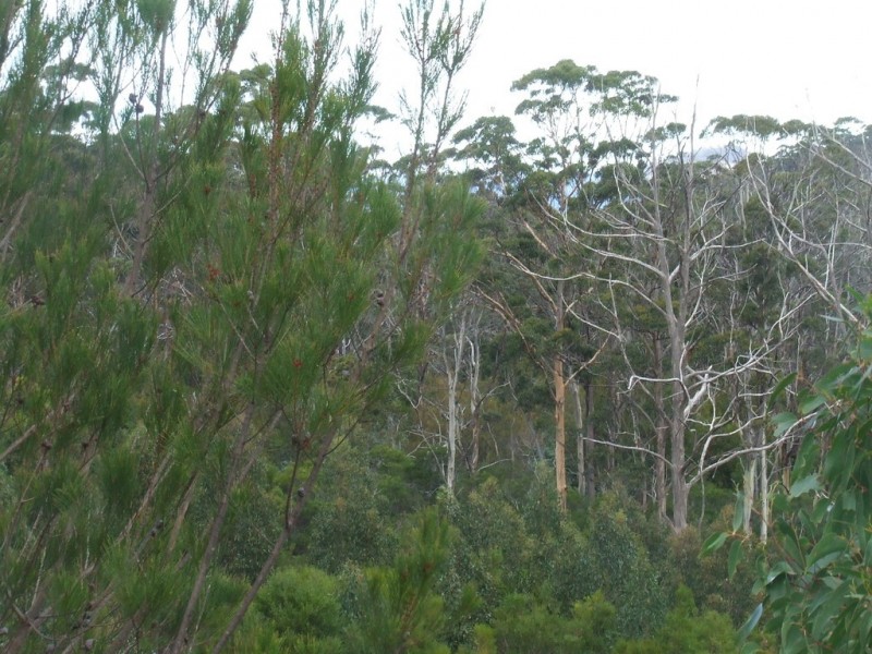 954 Roaring Beach Road, Nubeena TAS 7184