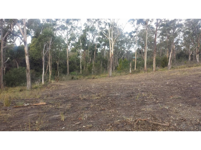 565 White Beach Road, White Beach TAS 7184