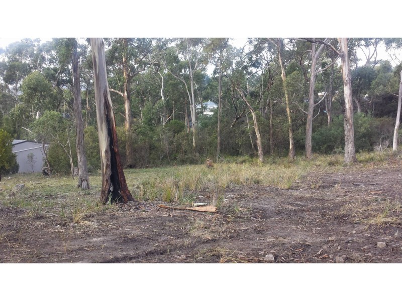 565 White Beach Road, White Beach TAS 7184