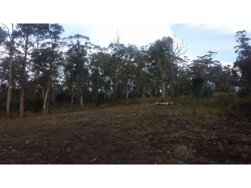 565 White Beach Road, White Beach TAS 7184