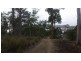 565 White Beach Road, White Beach TAS 7184