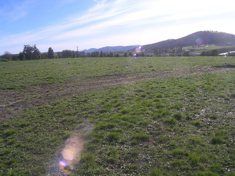 10 Blackwood Drive, Forcett TAS 7173