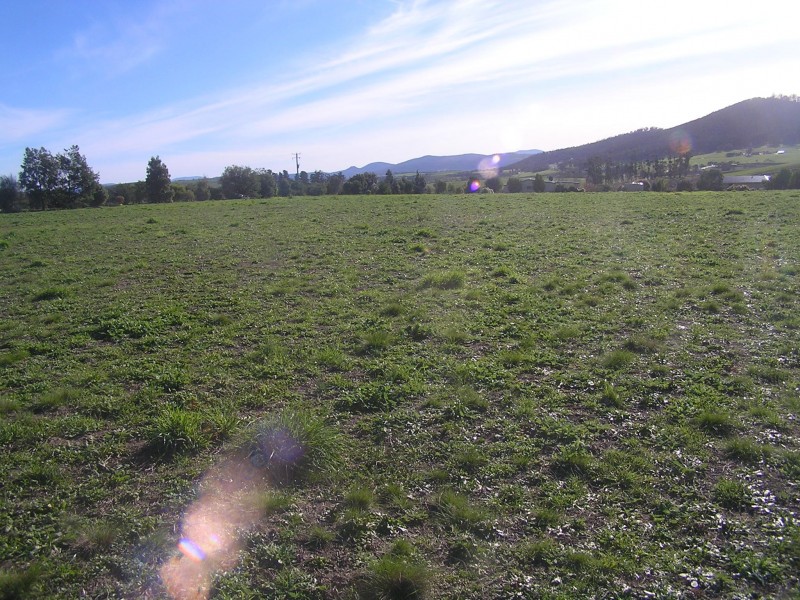 10 Blackwood Drive, Forcett TAS 7173