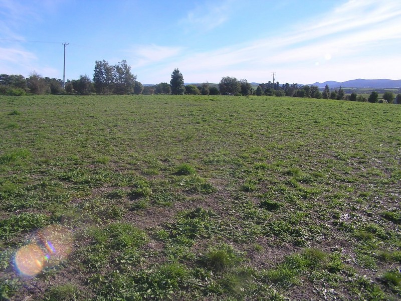 10 Blackwood Drive, Forcett TAS 7173