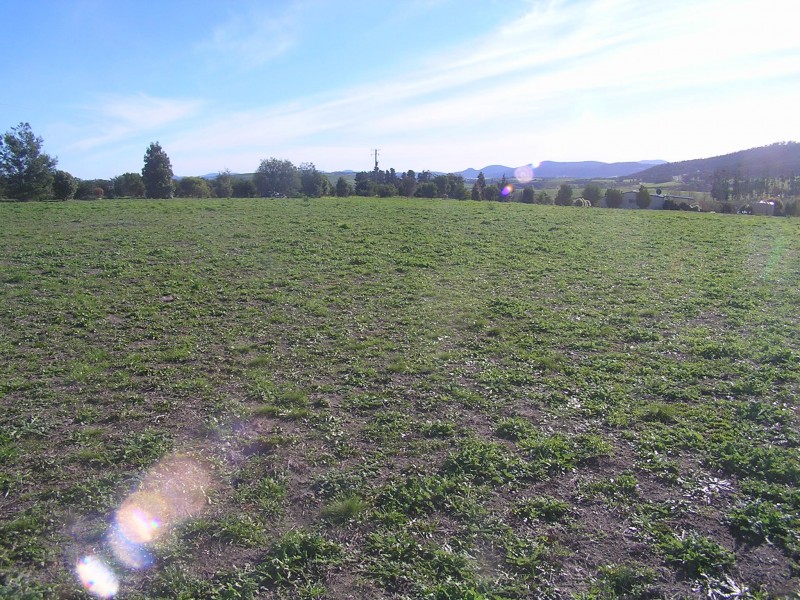 10 Blackwood Drive, Forcett TAS 7173