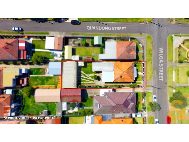 51 Wilga Street, Concord West NSW 2138