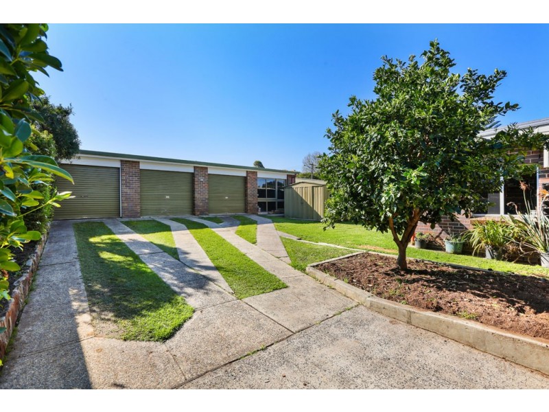 51 Wilga Street, Concord West NSW 2138