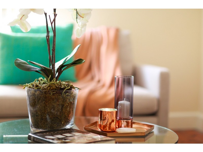 88 Burwood Road, Concord NSW 2137