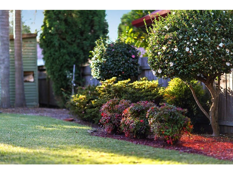 3 Boronia, Concord West NSW 2138