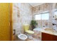 2 Tripod Street, Concord NSW 2137