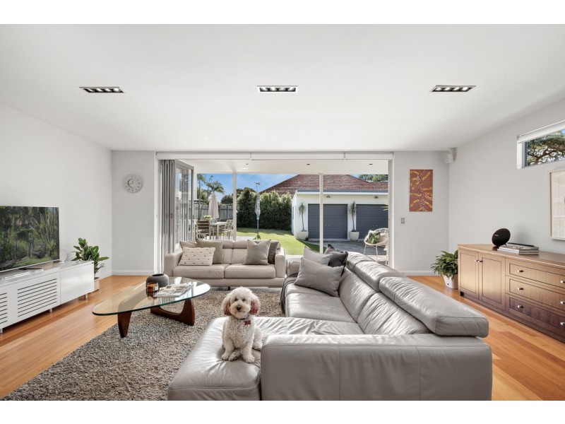 19 Hanks Street, Ashfield NSW 2131