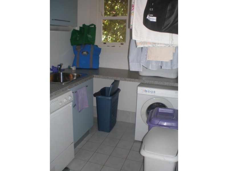 28 Patterson Street, Concord NSW 2137