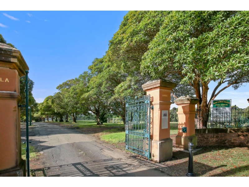 55 The Drive, Concord West NSW 2138