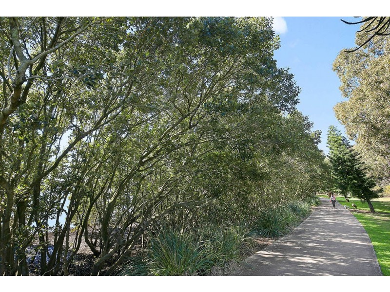 3/11-15 Norman Street, Concord NSW 2137