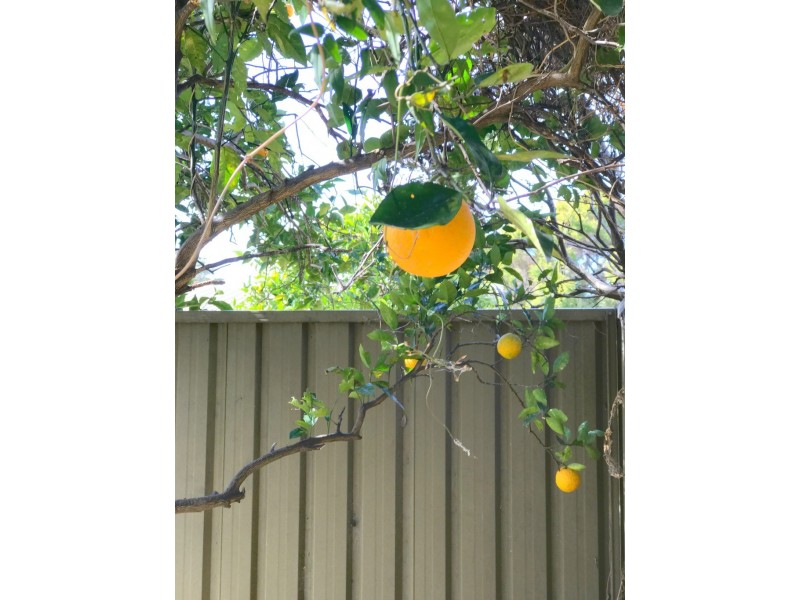 18 Quakers Road, Marayong NSW 2148