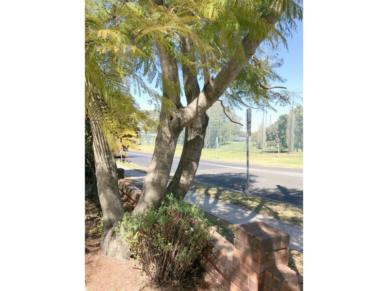 71 Cabarita Road, Cabarita NSW 2137