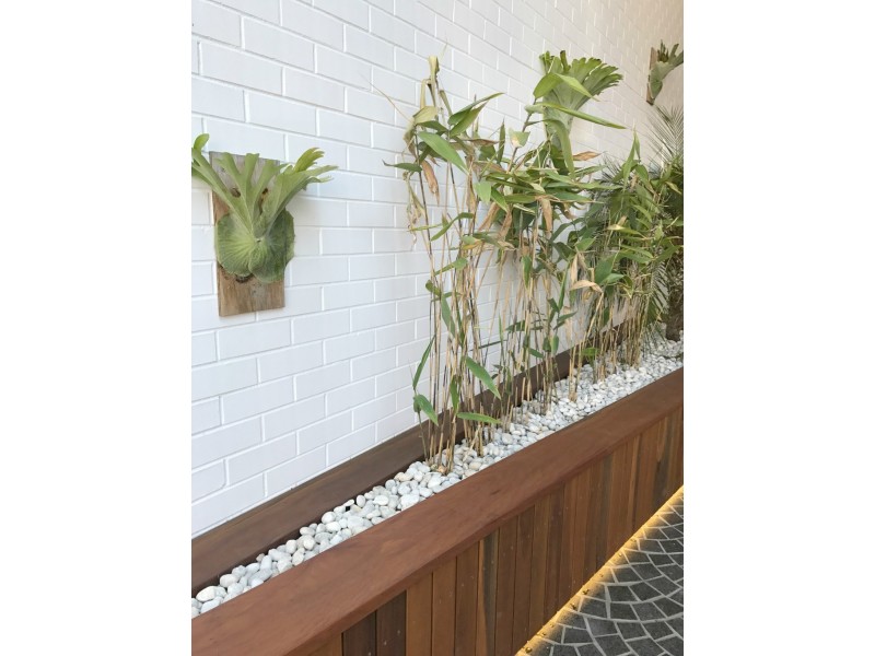 207/9-13 Parnell Street, Strathfield NSW 2135