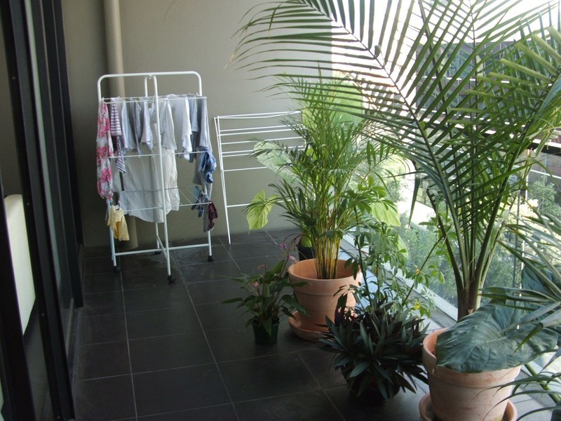 11/40 Holt Street, Surry Hills NSW 2010