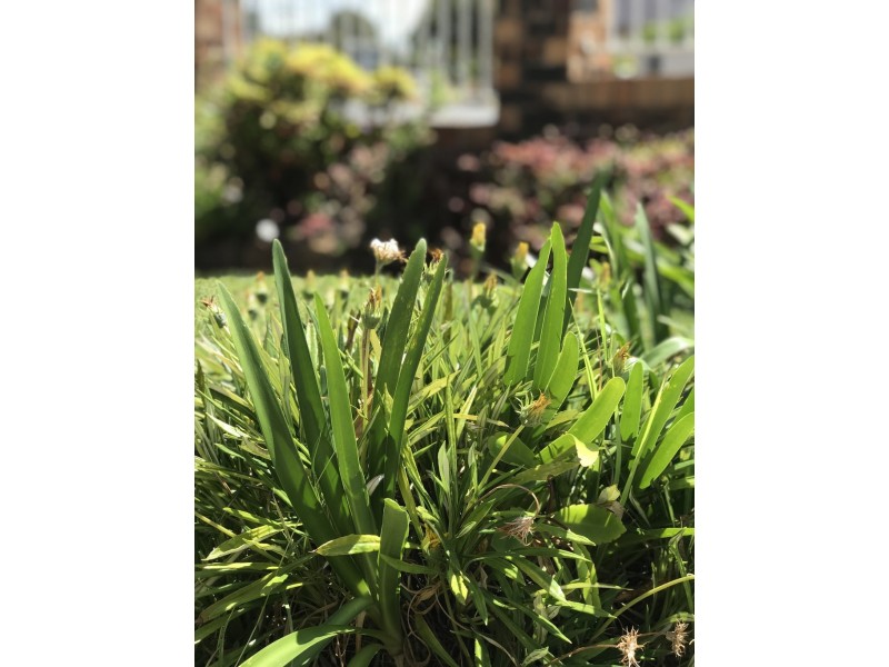 103 Cabarita Road, Cabarita NSW 2137