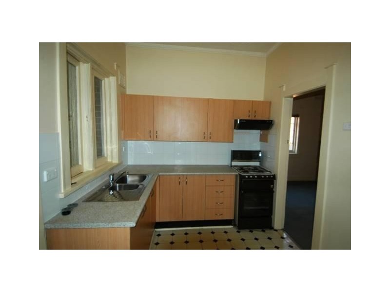 119 DAVIDSON AVENUE, Concord NSW 2137
