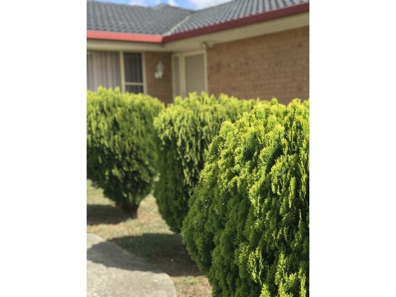 11 Aaron Place, Plumpton NSW 2761