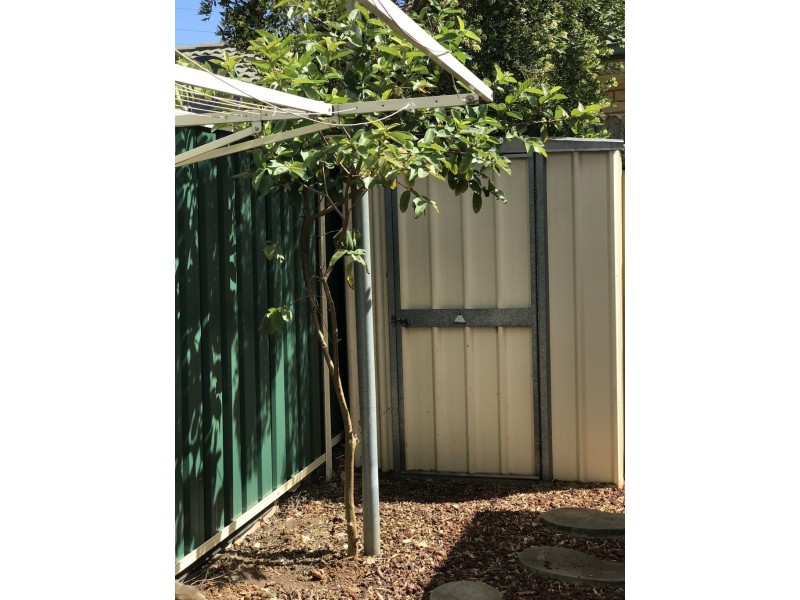 11 Aaron Place, Plumpton NSW 2761