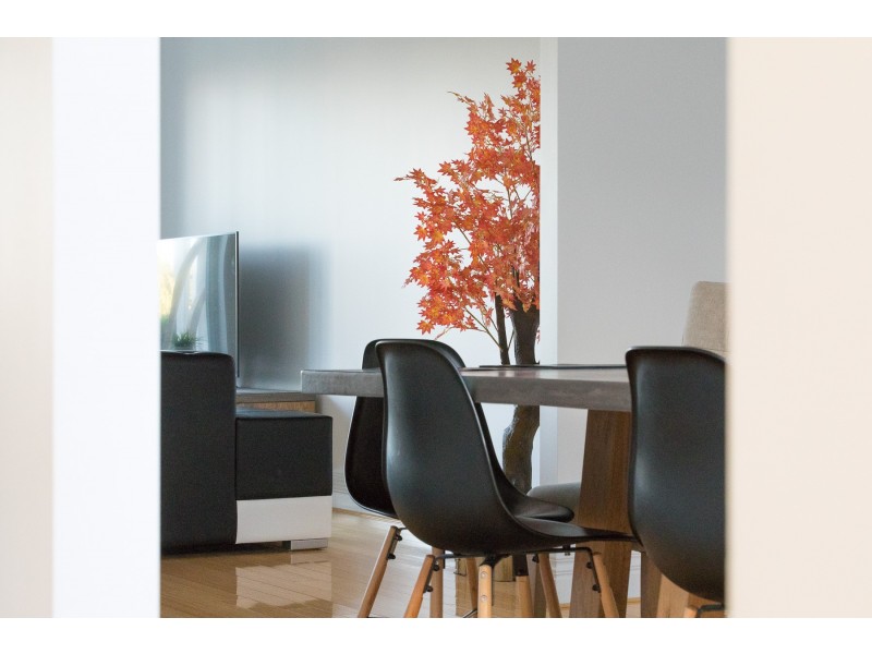 15 Jacaranda Drive, Cabarita NSW 2137